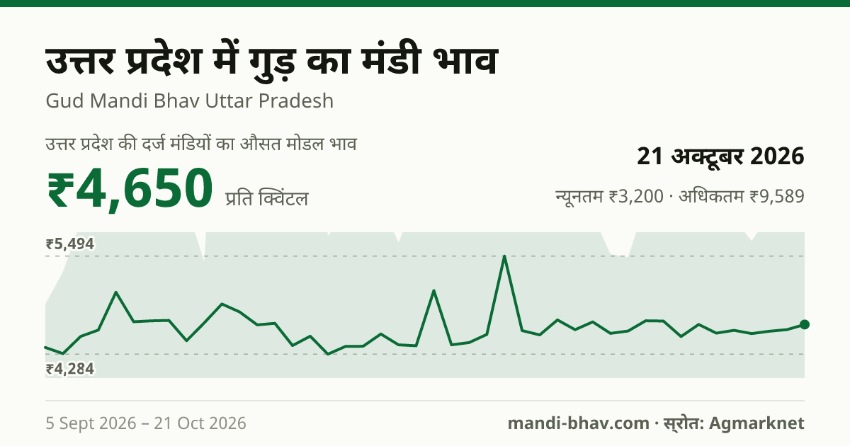 उत्तर प्रदेश में गुड़ का मंडी भाव 21 अक्टूबर 2026: औसत मोडल ₹4,650 प्रति क्विंटल, भाव के रुझान का चार्ट