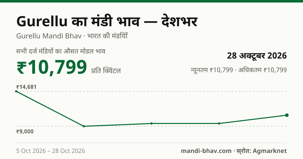 देशभर में Gurellu का मंडी भाव 28 अक्टूबर 2026: औसत मोडल ₹10,799 प्रति क्विंटल, भाव के रुझान का चार्ट