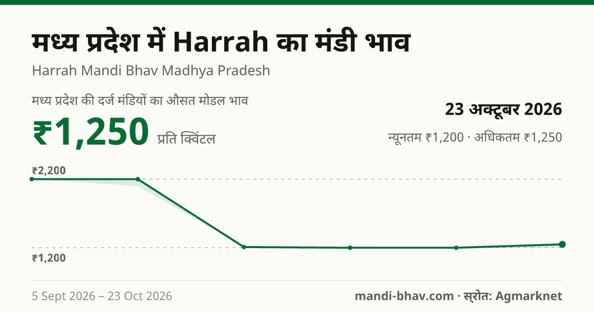 मध्य प्रदेश में Harrah का मंडी भाव 23 अक्टूबर 2026: औसत मोडल ₹1,250 प्रति क्विंटल, भाव के रुझान का चार्ट