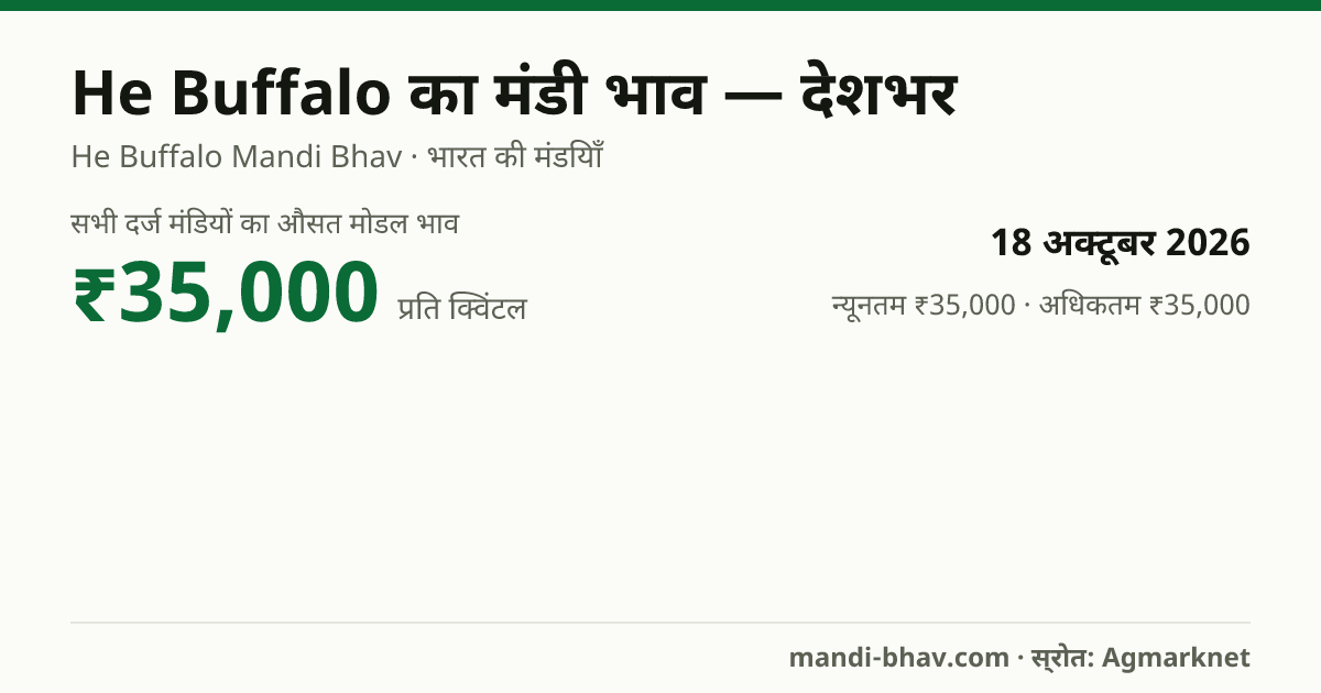 देशभर में He Buffalo का मंडी भाव 18 अक्टूबर 2026: औसत मोडल ₹35,000 प्रति क्विंटल, भाव के रुझान का चार्ट