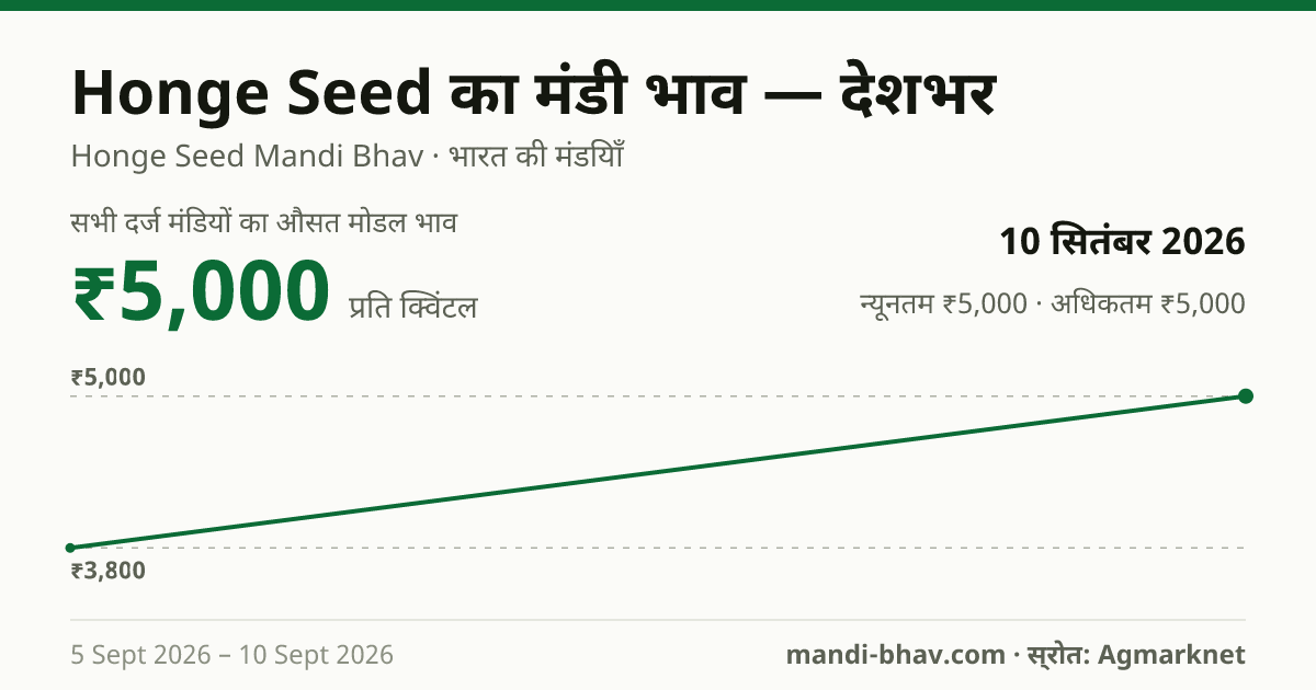 देशभर में Honge Seed का मंडी भाव 10 सितंबर 2026: औसत मोडल ₹5,000 प्रति क्विंटल, भाव के रुझान का चार्ट