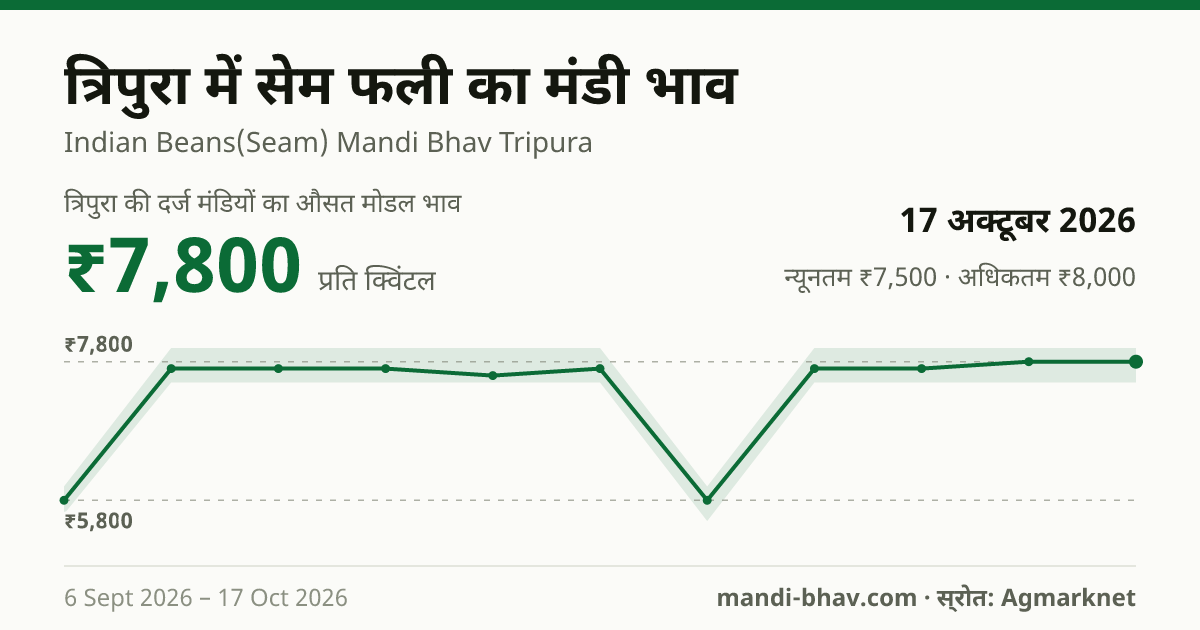 त्रिपुरा में सेम फली का मंडी भाव 17 अक्टूबर 2026: औसत मोडल ₹7,800 प्रति क्विंटल, भाव के रुझान का चार्ट