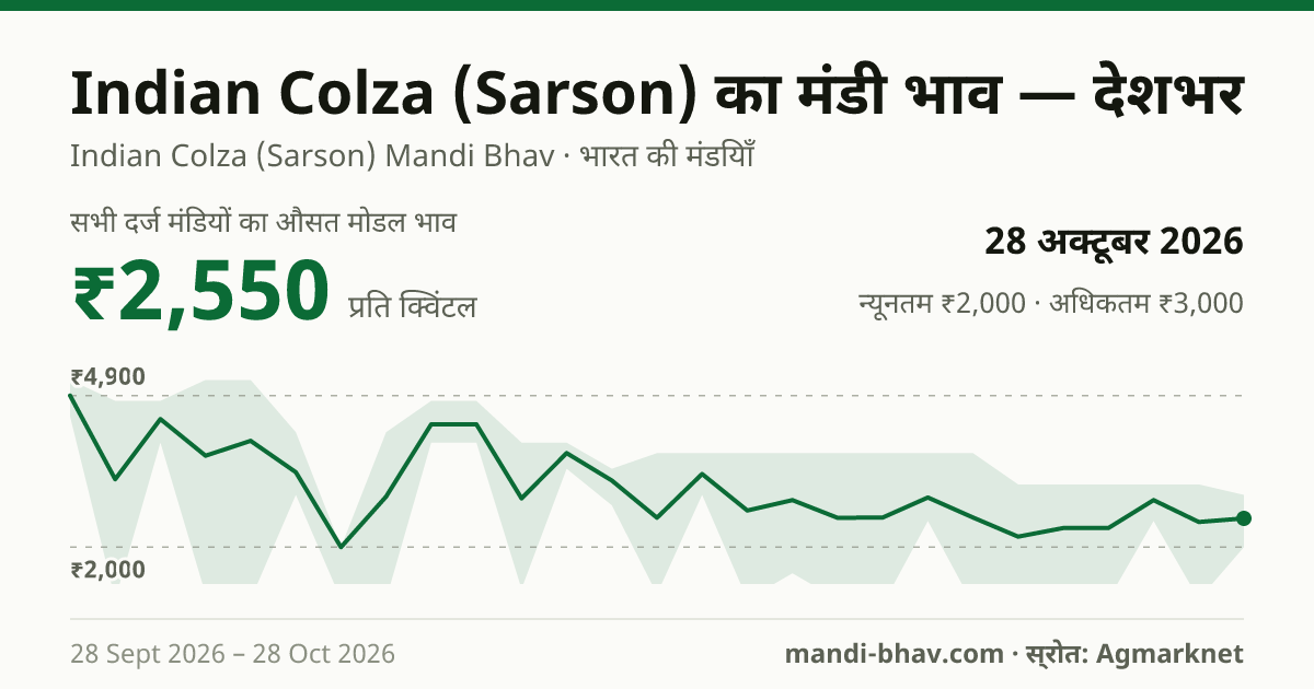देशभर में Indian Colza (Sarson) का मंडी भाव 28 अक्टूबर 2026: औसत मोडल ₹2,550 प्रति क्विंटल, भाव के रुझान का चार्ट