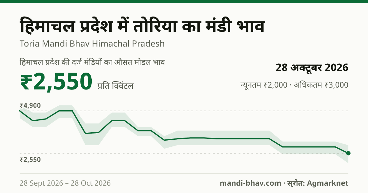 हिमाचल प्रदेश में Indian Colza (Sarson) का मंडी भाव 28 अक्टूबर 2026: औसत मोडल ₹2,550 प्रति क्विंटल, भाव के रुझान का चार्ट