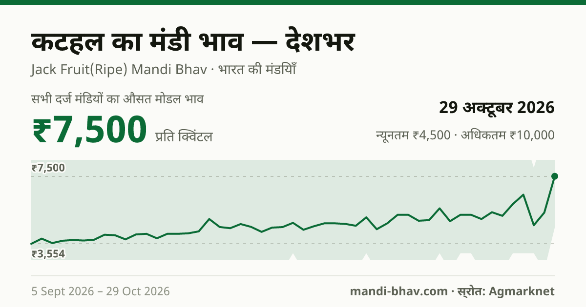 देशभर में कटहल का मंडी भाव 29 अक्टूबर 2026: औसत मोडल ₹7,500 प्रति क्विंटल, भाव के रुझान का चार्ट
