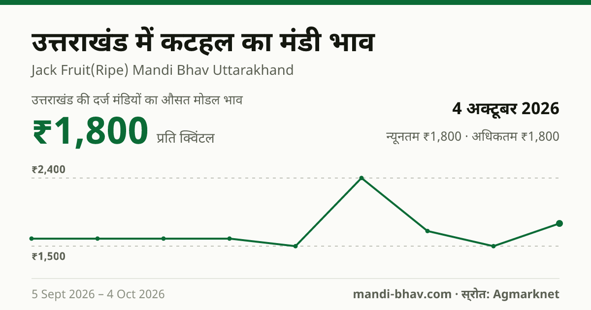 उत्तराखंड में कटहल का मंडी भाव 4 अक्टूबर 2026: औसत मोडल ₹1,800 प्रति क्विंटल, भाव के रुझान का चार्ट