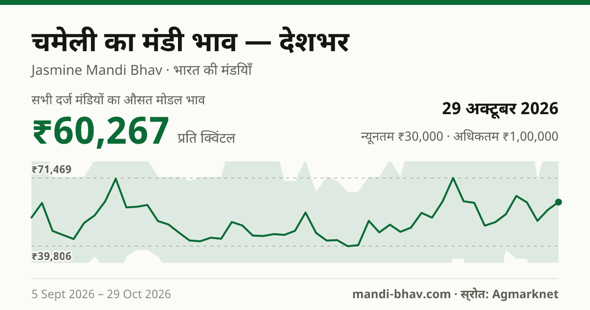 देशभर में चमेली का मंडी भाव 29 अक्टूबर 2026: औसत मोडल ₹60,464 प्रति क्विंटल, भाव के रुझान का चार्ट