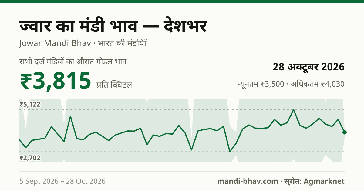 देशभर में ज्वार का मंडी भाव 28 अक्टूबर 2026: औसत मोडल ₹3,815 प्रति क्विंटल, भाव के रुझान का चार्ट