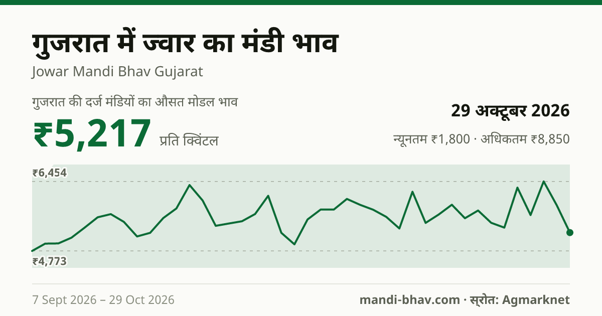 गुजरात में ज्वार का मंडी भाव 29 अक्टूबर 2026: औसत मोडल ₹5,217 प्रति क्विंटल, भाव के रुझान का चार्ट