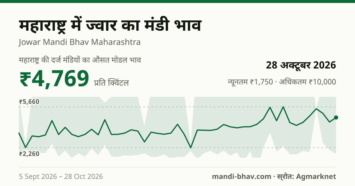 महाराष्ट्र में ज्वार का मंडी भाव 28 अक्टूबर 2026: औसत मोडल ₹4,769 प्रति क्विंटल, भाव के रुझान का चार्ट