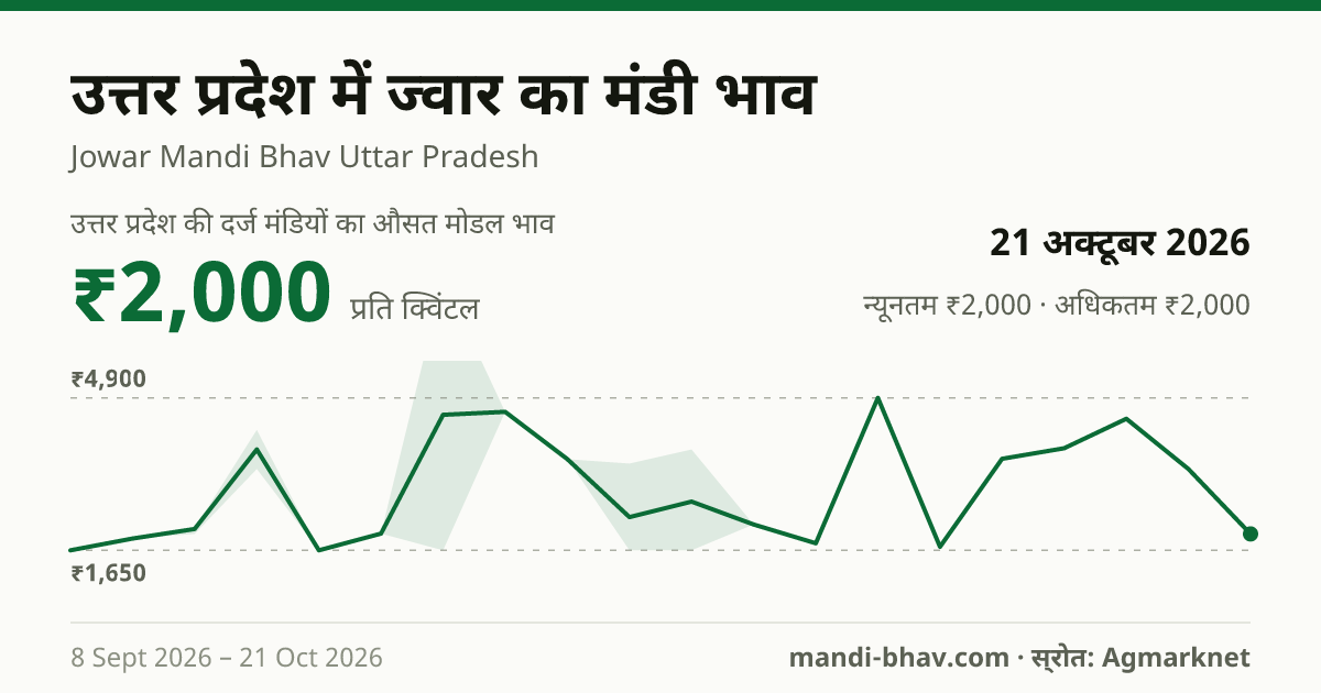 उत्तर प्रदेश में ज्वार का मंडी भाव 21 अक्टूबर 2026: औसत मोडल ₹2,000 प्रति क्विंटल, भाव के रुझान का चार्ट