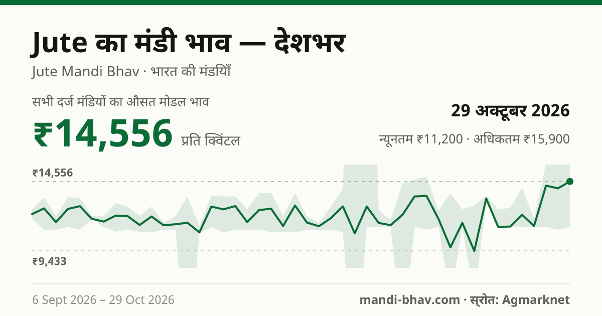 देशभर में Jute का मंडी भाव 29 अक्टूबर 2026: औसत मोडल ₹14,556 प्रति क्विंटल, भाव के रुझान का चार्ट