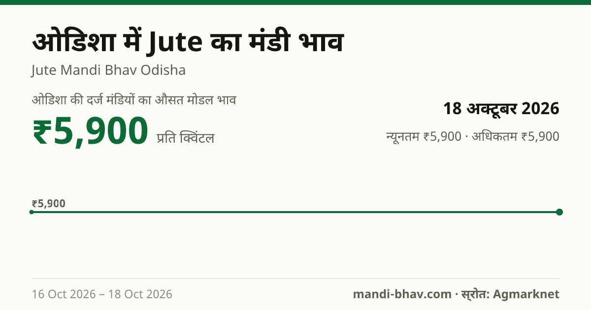 ओडिशा में Jute का मंडी भाव 18 अक्टूबर 2026: औसत मोडल ₹5,900 प्रति क्विंटल, भाव के रुझान का चार्ट