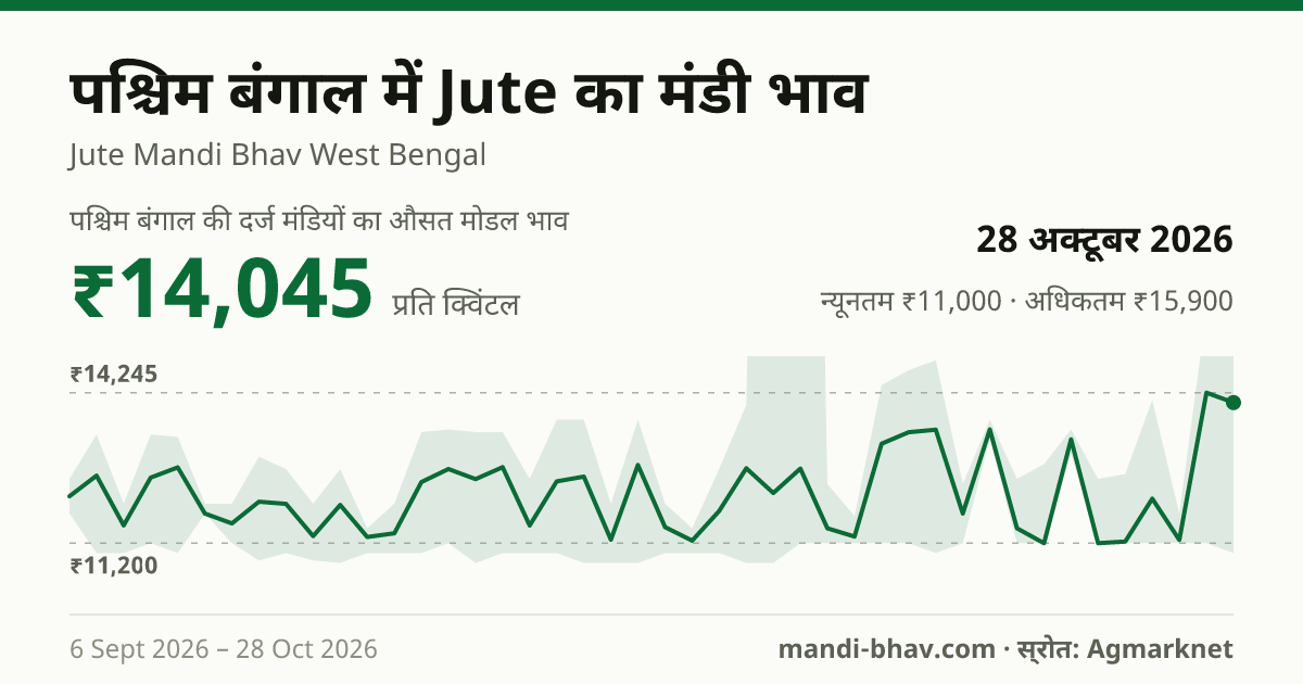 पश्चिम बंगाल में Jute का मंडी भाव 28 अक्टूबर 2026: औसत मोडल ₹14,045 प्रति क्विंटल, भाव के रुझान का चार्ट