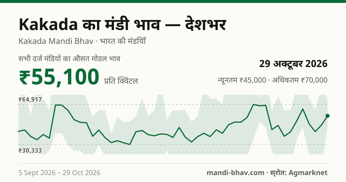 देशभर में Kakada का मंडी भाव 29 अक्टूबर 2026: औसत मोडल ₹53,500 प्रति क्विंटल, भाव के रुझान का चार्ट