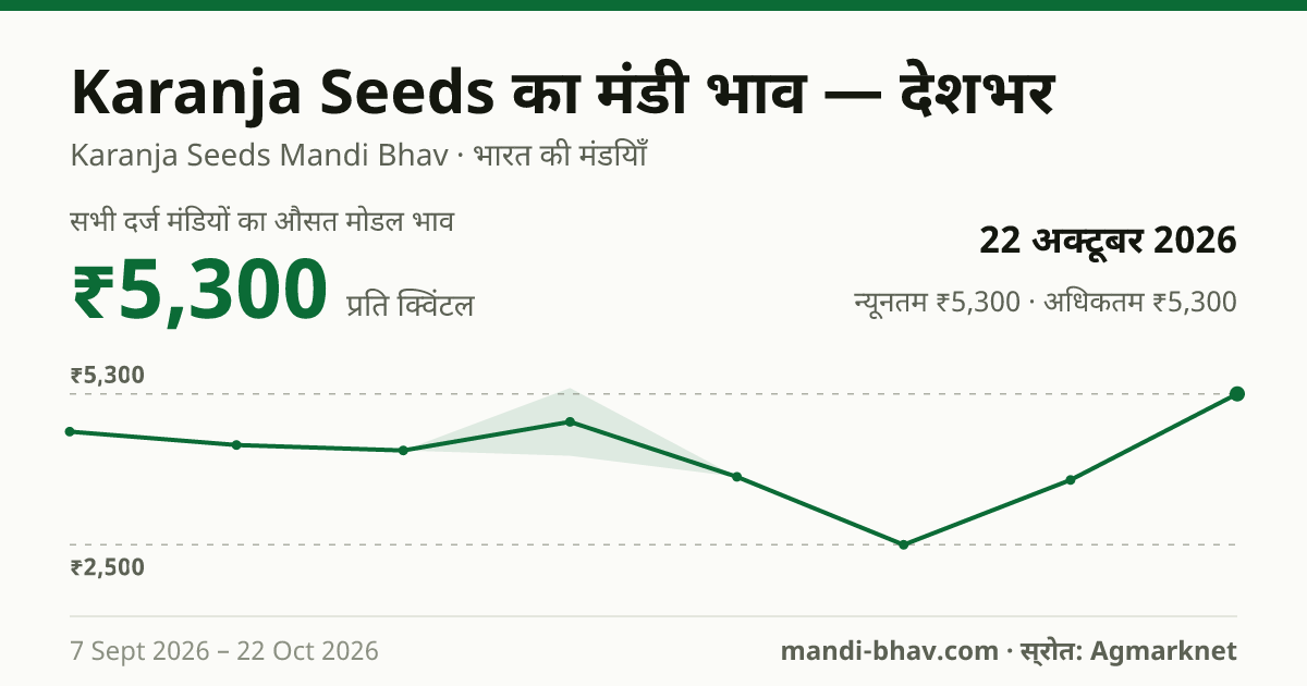 देशभर में Karanja Seeds का मंडी भाव 22 अक्टूबर 2026: औसत मोडल ₹5,300 प्रति क्विंटल, भाव के रुझान का चार्ट