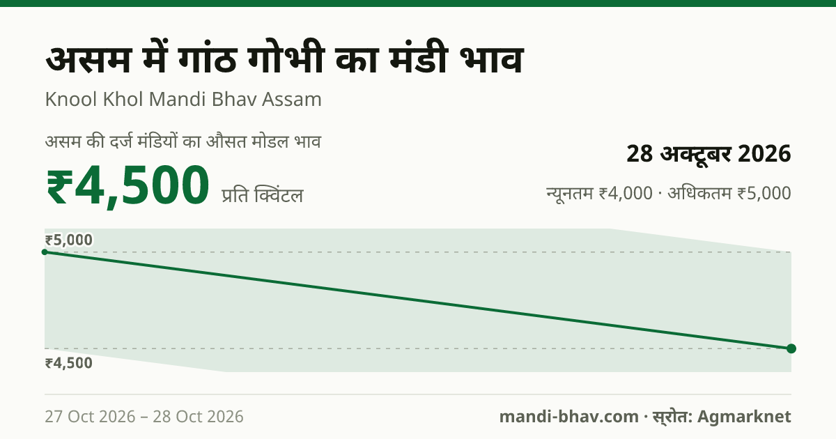 असम में गांठ गोभी का मंडी भाव 28 अक्टूबर 2026: औसत मोडल ₹4,500 प्रति क्विंटल, भाव के रुझान का चार्ट