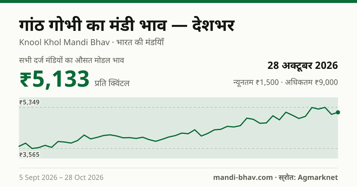 देशभर में गांठ गोभी का मंडी भाव 28 अक्टूबर 2026: औसत मोडल ₹5,133 प्रति क्विंटल, भाव के रुझान का चार्ट