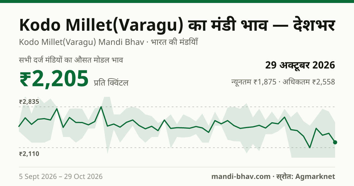 देशभर में Kodo Millet(Varagu) का मंडी भाव 29 अक्टूबर 2026: औसत मोडल ₹2,205 प्रति क्विंटल, भाव के रुझान का चार्ट
