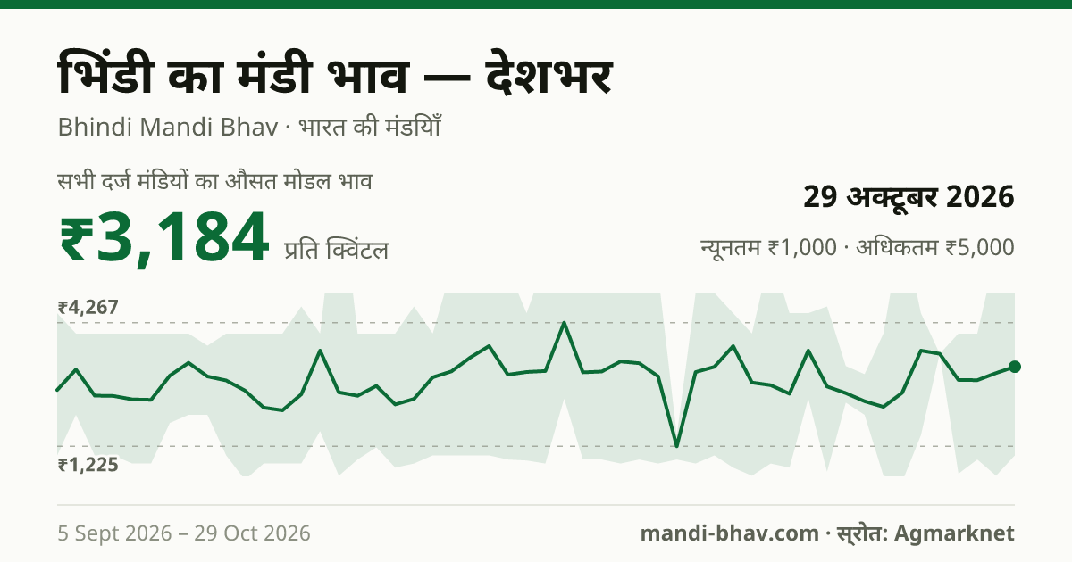देशभर में भिंडी का मंडी भाव 29 अक्टूबर 2026: औसत मोडल ₹3,171 प्रति क्विंटल, भाव के रुझान का चार्ट