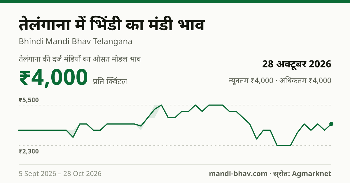 तेलंगाना में भिंडी का मंडी भाव 28 अक्टूबर 2026: औसत मोडल ₹4,000 प्रति क्विंटल, भाव के रुझान का चार्ट