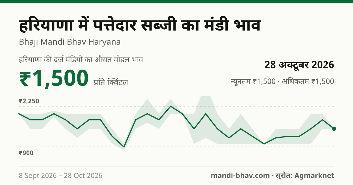 हरियाणा में पत्तेदार सब्जी का मंडी भाव 28 अक्टूबर 2026: औसत मोडल ₹1,500 प्रति क्विंटल, भाव के रुझान का चार्ट