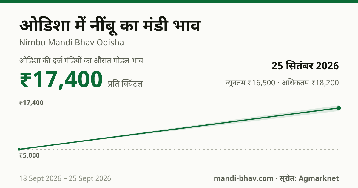 ओडिशा में नींबू का मंडी भाव 25 सितंबर 2026: औसत मोडल ₹17,400 प्रति क्विंटल, भाव के रुझान का चार्ट