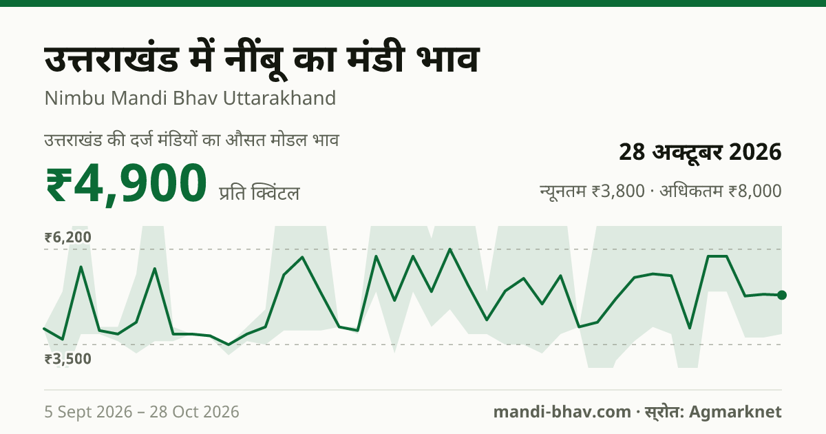 उत्तराखंड में नींबू का मंडी भाव 28 अक्टूबर 2026: औसत मोडल ₹4,900 प्रति क्विंटल, भाव के रुझान का चार्ट