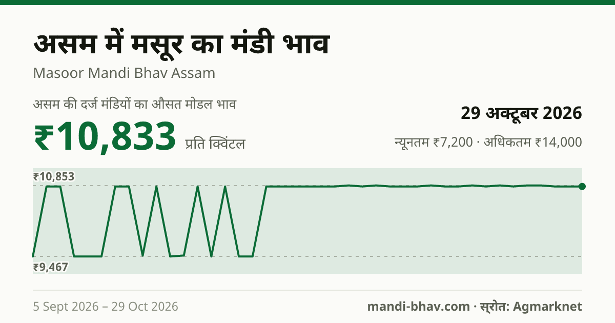 असम में मसूर का मंडी भाव 29 अक्टूबर 2026: औसत मोडल ₹10,833 प्रति क्विंटल, भाव के रुझान का चार्ट