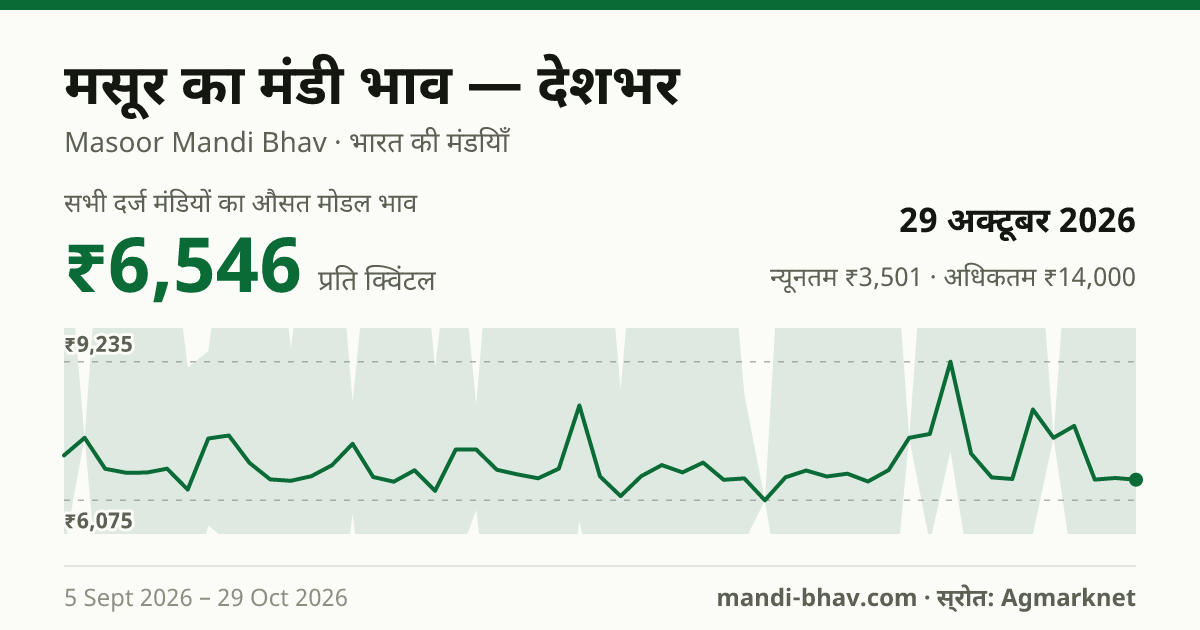 देशभर में मसूर का मंडी भाव 29 अक्टूबर 2026: औसत मोडल ₹7,176 प्रति क्विंटल, भाव के रुझान का चार्ट