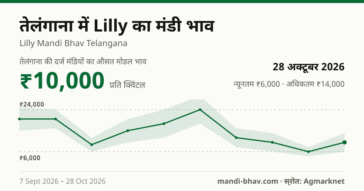 तेलंगाना में Lilly का मंडी भाव 28 अक्टूबर 2026: औसत मोडल ₹10,000 प्रति क्विंटल, भाव के रुझान का चार्ट