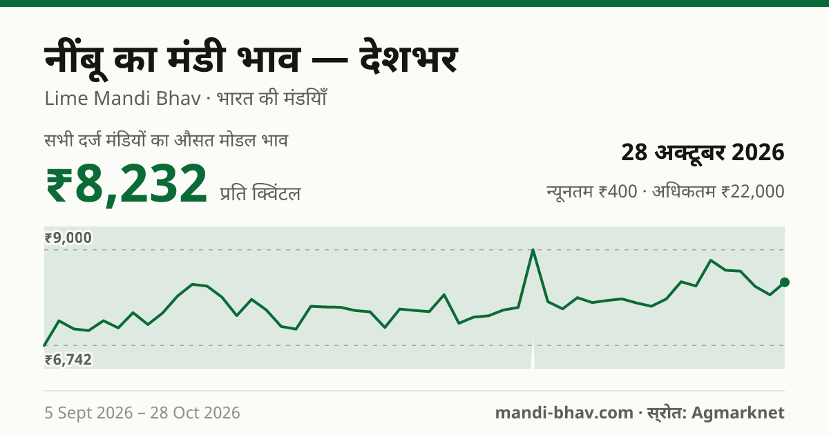 देशभर में नींबू का मंडी भाव 28 अक्टूबर 2026: औसत मोडल ₹8,232 प्रति क्विंटल, भाव के रुझान का चार्ट