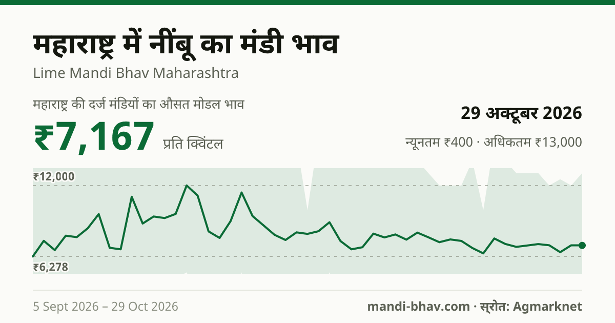 महाराष्ट्र में नींबू का मंडी भाव 29 अक्टूबर 2026: औसत मोडल ₹7,167 प्रति क्विंटल, भाव के रुझान का चार्ट
