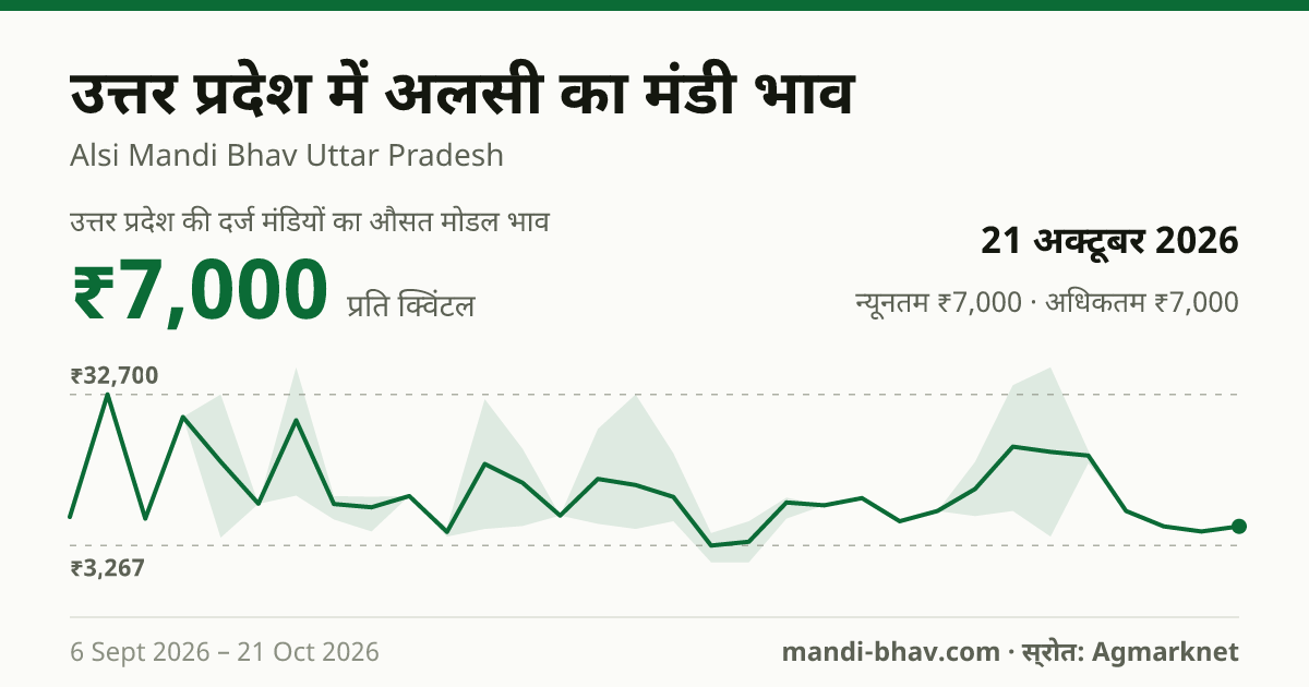 उत्तर प्रदेश में अलसी का मंडी भाव 21 अक्टूबर 2026: औसत मोडल ₹7,000 प्रति क्विंटल, भाव के रुझान का चार्ट