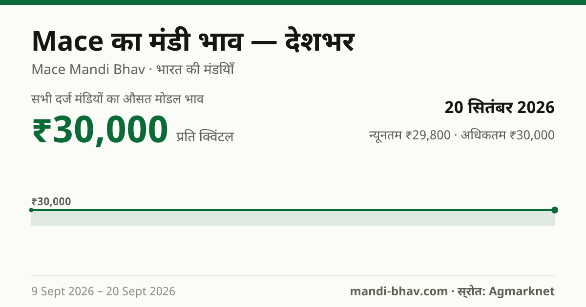 देशभर में Mace का मंडी भाव 20 सितंबर 2026: औसत मोडल ₹30,000 प्रति क्विंटल, भाव के रुझान का चार्ट