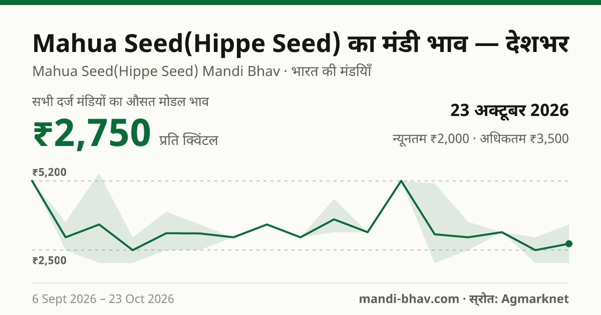 देशभर में Mahua Seed(Hippe Seed) का मंडी भाव 23 अक्टूबर 2026: औसत मोडल ₹2,750 प्रति क्विंटल, भाव के रुझान का चार्ट