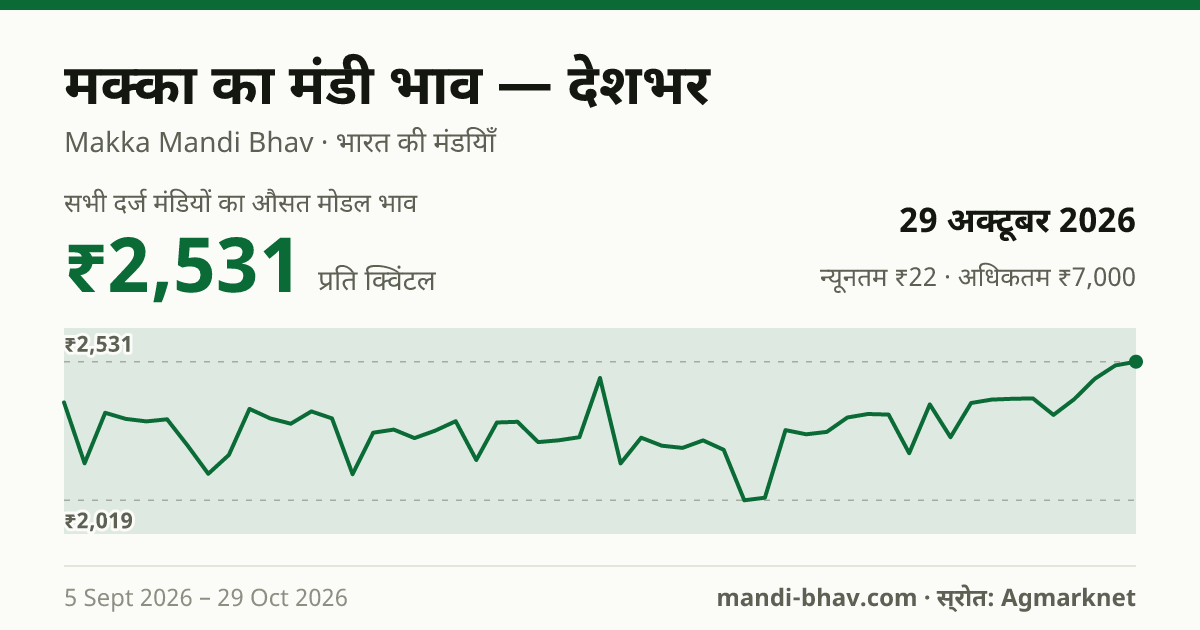 देशभर में मक्का का मंडी भाव 29 अक्टूबर 2026: औसत मोडल ₹2,504 प्रति क्विंटल, भाव के रुझान का चार्ट