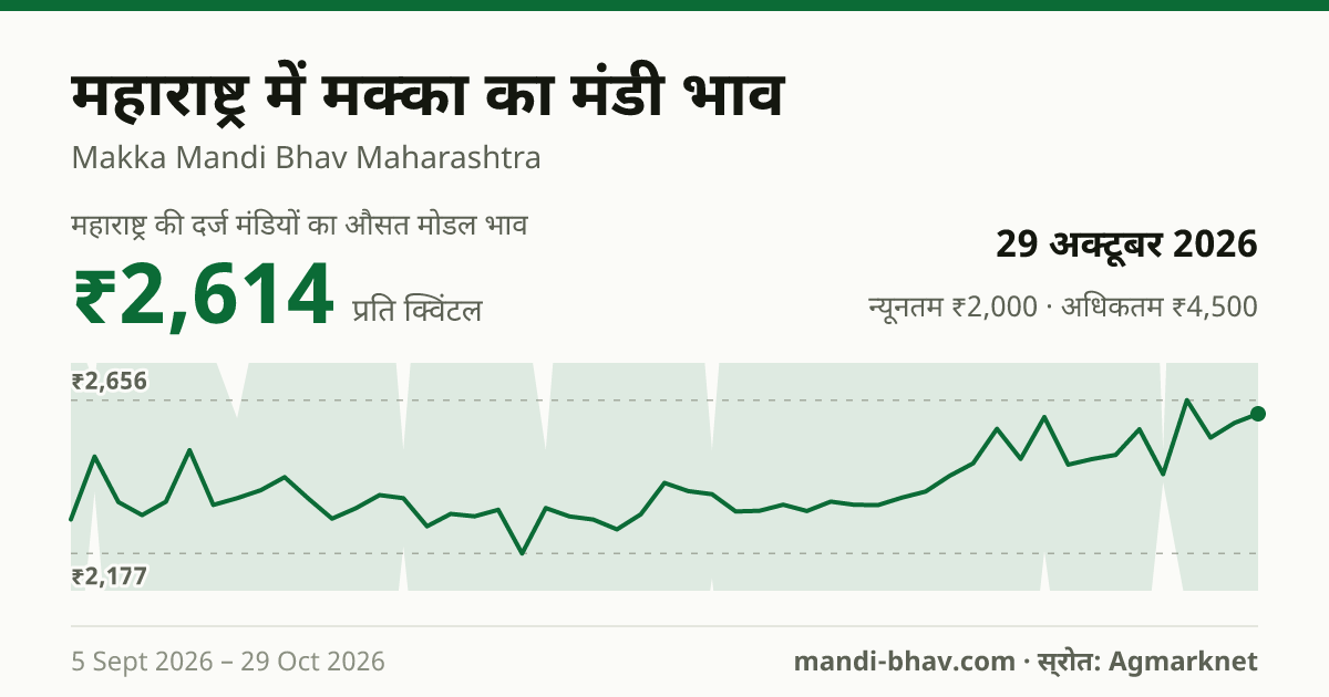 महाराष्ट्र में मक्का का मंडी भाव 29 अक्टूबर 2026: औसत मोडल ₹2,678 प्रति क्विंटल, भाव के रुझान का चार्ट