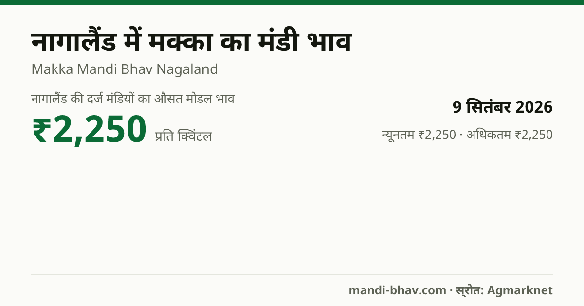 नागालैंड में मक्का का मंडी भाव 9 सितंबर 2026: औसत मोडल ₹2,250 प्रति क्विंटल, भाव के रुझान का चार्ट
