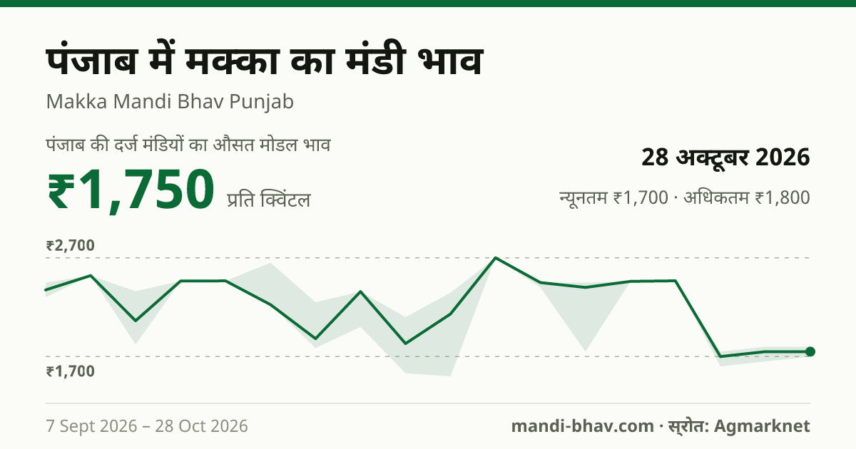 पंजाब में मक्का का मंडी भाव 28 अक्टूबर 2026: औसत मोडल ₹1,750 प्रति क्विंटल, भाव के रुझान का चार्ट