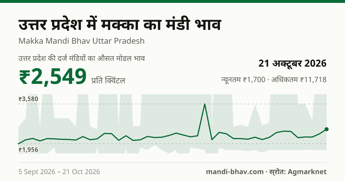 उत्तर प्रदेश में मक्का का मंडी भाव 21 अक्टूबर 2026: औसत मोडल ₹2,549 प्रति क्विंटल, भाव के रुझान का चार्ट