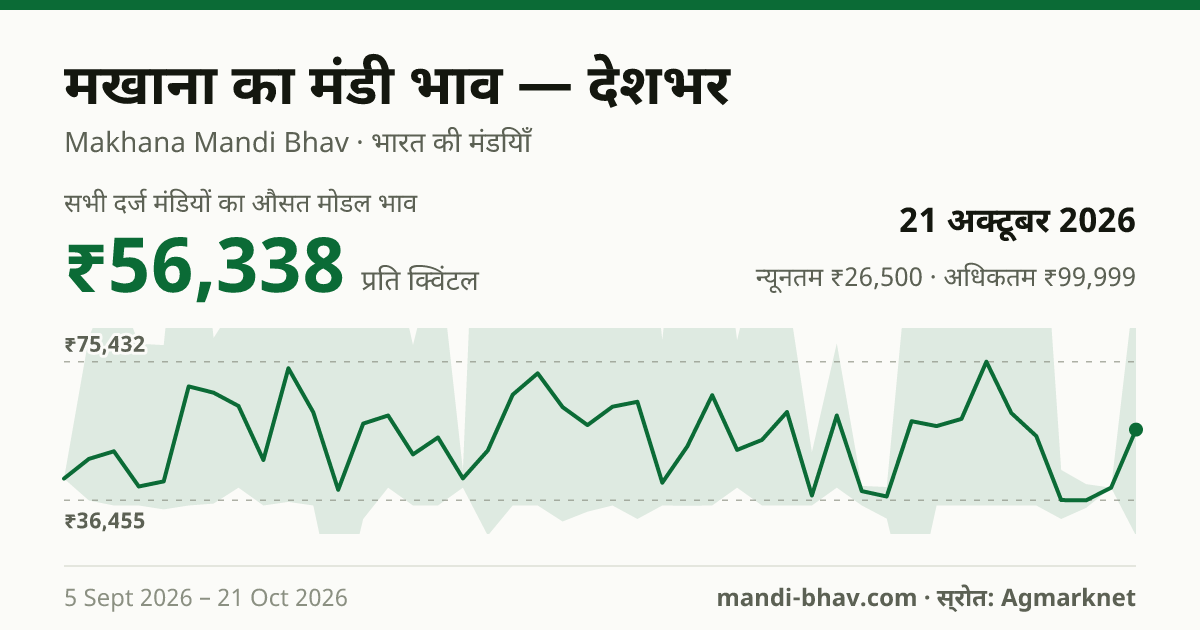 देशभर में Makhana(Foxnut) का मंडी भाव 21 अक्टूबर 2026: औसत मोडल ₹56,338 प्रति क्विंटल, भाव के रुझान का चार्ट