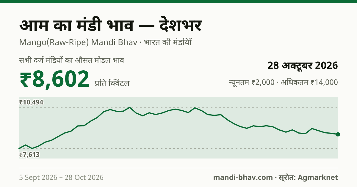 देशभर में आम का मंडी भाव 28 अक्टूबर 2026: औसत मोडल ₹8,506 प्रति क्विंटल, भाव के रुझान का चार्ट