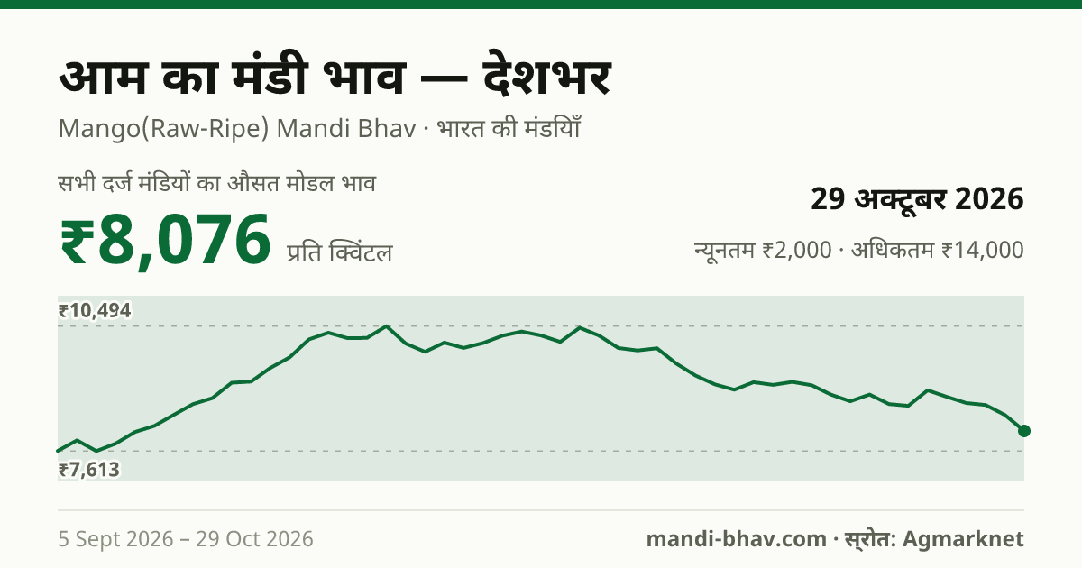 देशभर में आम का मंडी भाव 29 अक्टूबर 2026: औसत मोडल ₹8,147 प्रति क्विंटल, भाव के रुझान का चार्ट