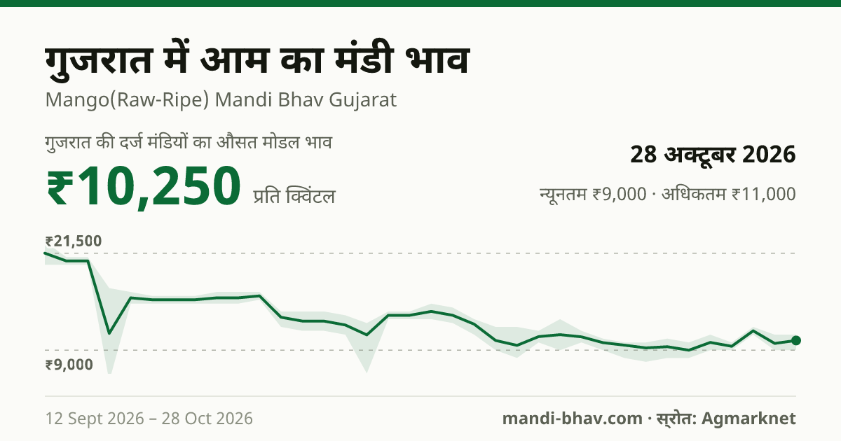 गुजरात में आम का मंडी भाव 28 अक्टूबर 2026: औसत मोडल ₹10,250 प्रति क्विंटल, भाव के रुझान का चार्ट