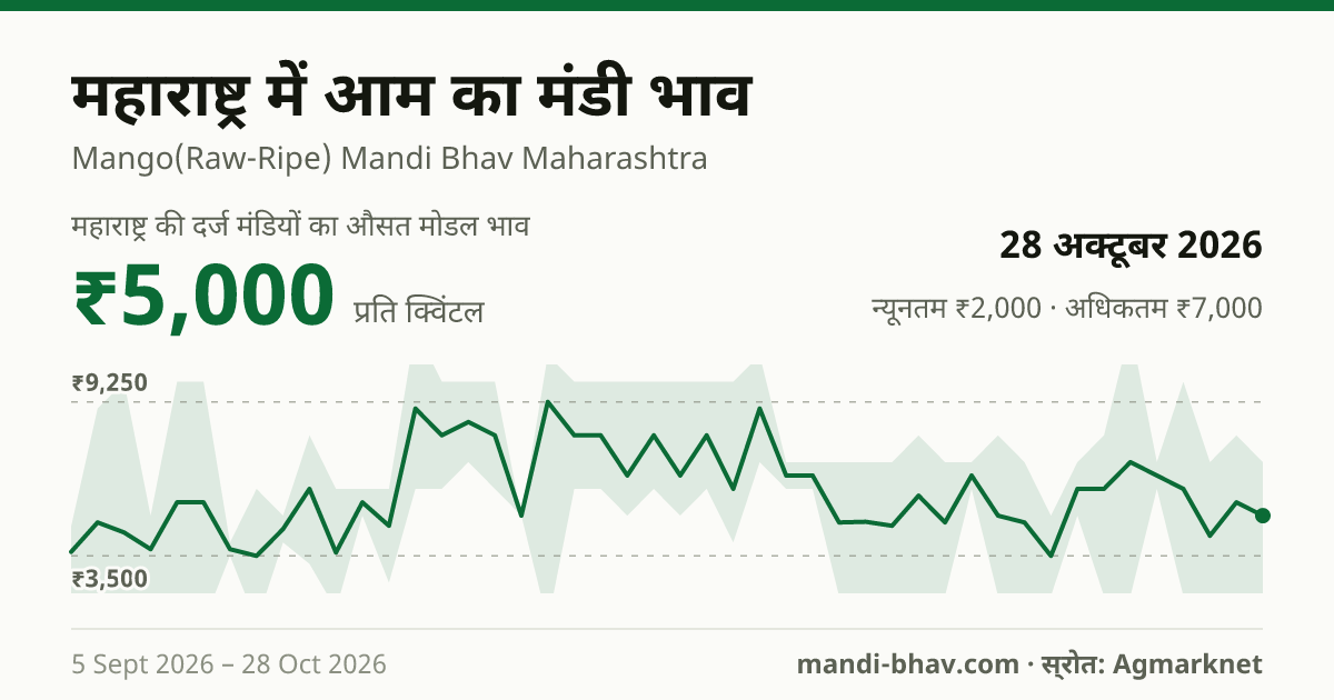 महाराष्ट्र में आम का मंडी भाव 28 अक्टूबर 2026: औसत मोडल ₹5,000 प्रति क्विंटल, भाव के रुझान का चार्ट