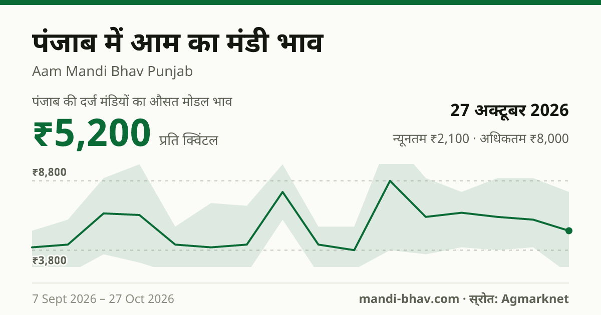 पंजाब में आम का मंडी भाव 27 अक्टूबर 2026: औसत मोडल ₹5,200 प्रति क्विंटल, भाव के रुझान का चार्ट
