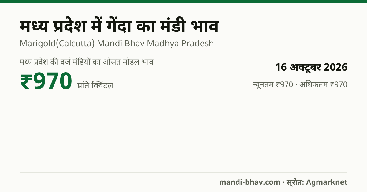 मध्य प्रदेश में गेंदा का मंडी भाव 16 अक्टूबर 2026: औसत मोडल ₹970 प्रति क्विंटल, भाव के रुझान का चार्ट