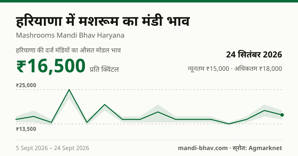 हरियाणा में मशरूम का मंडी भाव 24 सितंबर 2026: औसत मोडल ₹16,500 प्रति क्विंटल, भाव के रुझान का चार्ट