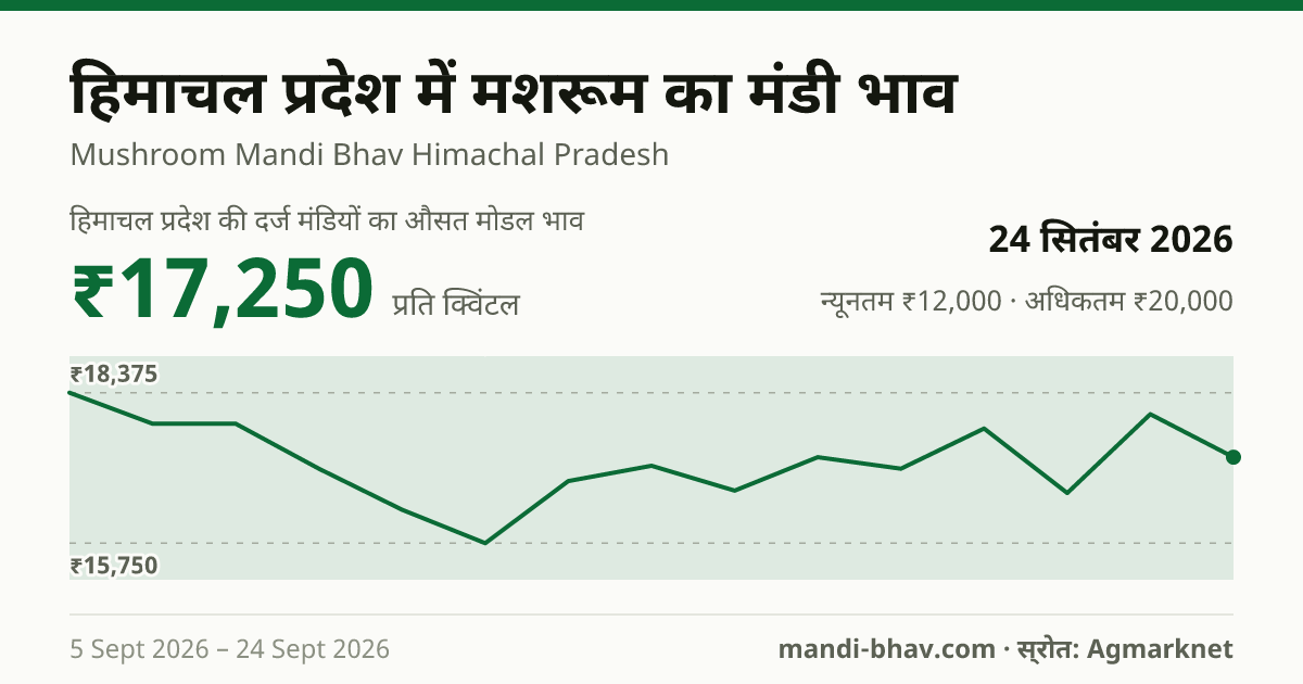 हिमाचल प्रदेश में मशरूम का मंडी भाव 24 सितंबर 2026: औसत मोडल ₹17,250 प्रति क्विंटल, भाव के रुझान का चार्ट